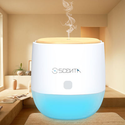 Bluetooth USB5V 0.55ml/Hr Smart Aroma Diffuser With Touch Button