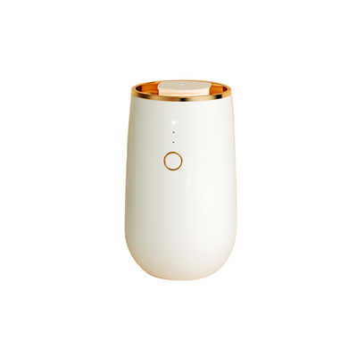 Luxury Aromatherapy Oil Diffuser LED Light Waterless Portable Nebulizing Diffuser